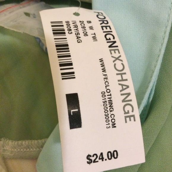 ⭐️ Foreign Exchange Color BlockSheer Blouse - Picture 5 of 7